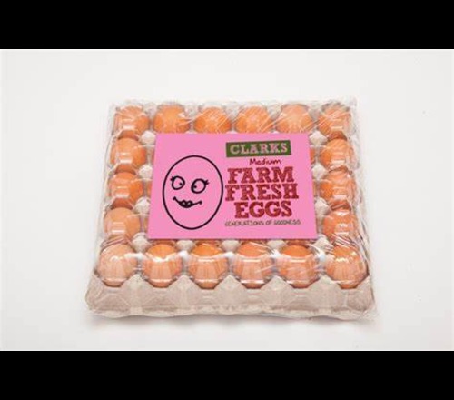 EGG