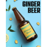 Ginger beer x4