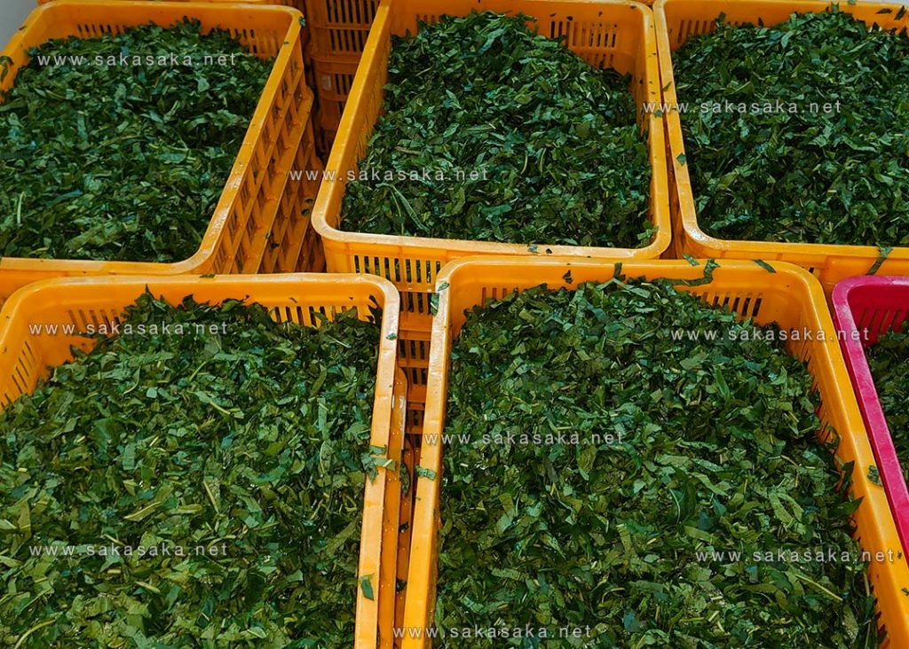 Frozen Bitter leaf Box