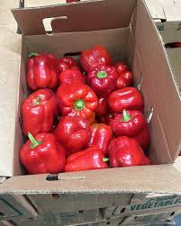 Romero Peppers Tatashe Frz Box