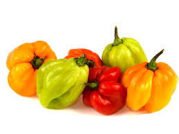 Scotch Bonnet Frz kg
