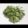Spinach-Soko