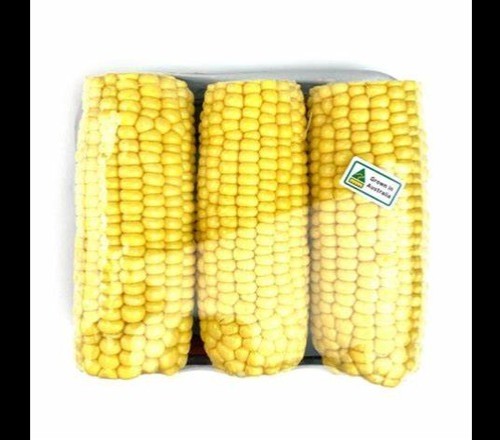 SWEEET CORN ON THE COB 1