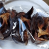 Smoked Catfish Double