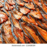 Striped Catfish