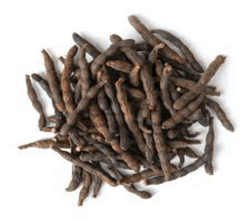 Uda grains of selim resized