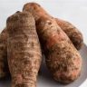 Coco Yam
