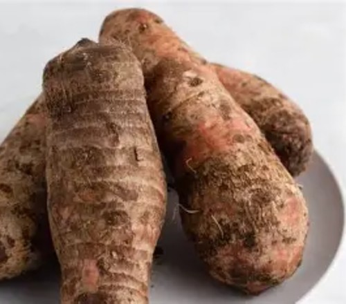 cocoyam