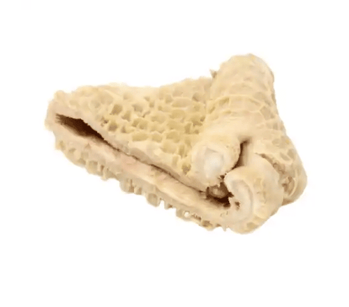 honeycombtripes shaki_740x_1 1 1