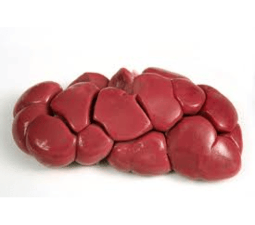 kidney