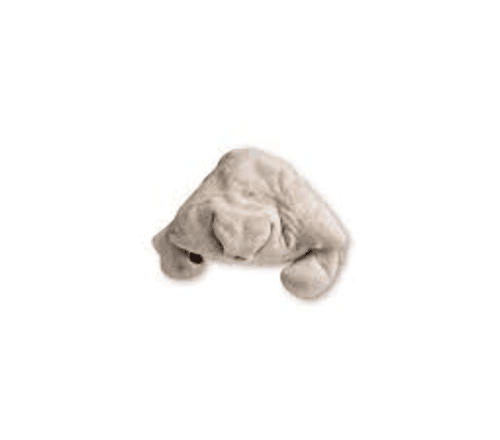 ox snout 1
