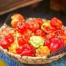 Scotch Bonnet